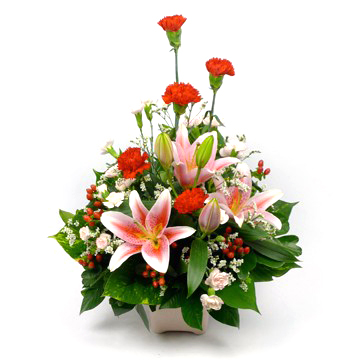 arrangement 1204