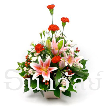 arrangement 1204