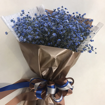 Bouquet of Blue Gypsophila