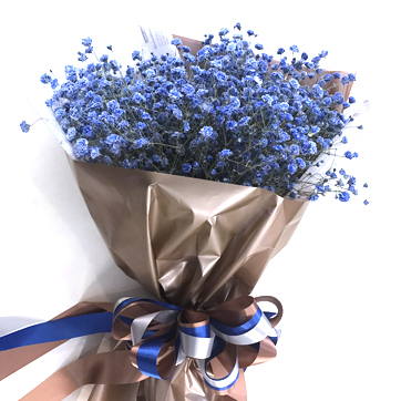 Bouquet of Blue Gypsophila