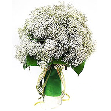 Bouquet of gypsophila