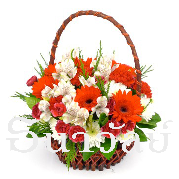 Red blooming basket