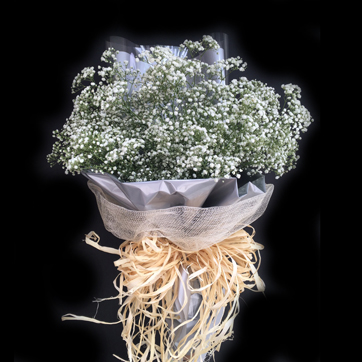 Bouquet of gypsophila