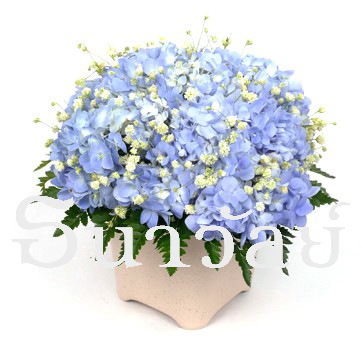 Hydrangeas arrangement