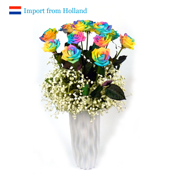 Promotion(20%off)Valentine's day - 12 Holland Rainbow roses กุหลาบสีรุ้ง 12 ดอก จากฮอลแลนด์